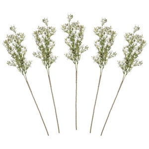 Uml kvty Gypsophila 40 cm 5 ks